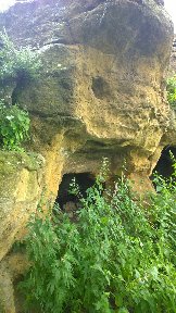 WP_20160710_16_23_03_Pro.jpg