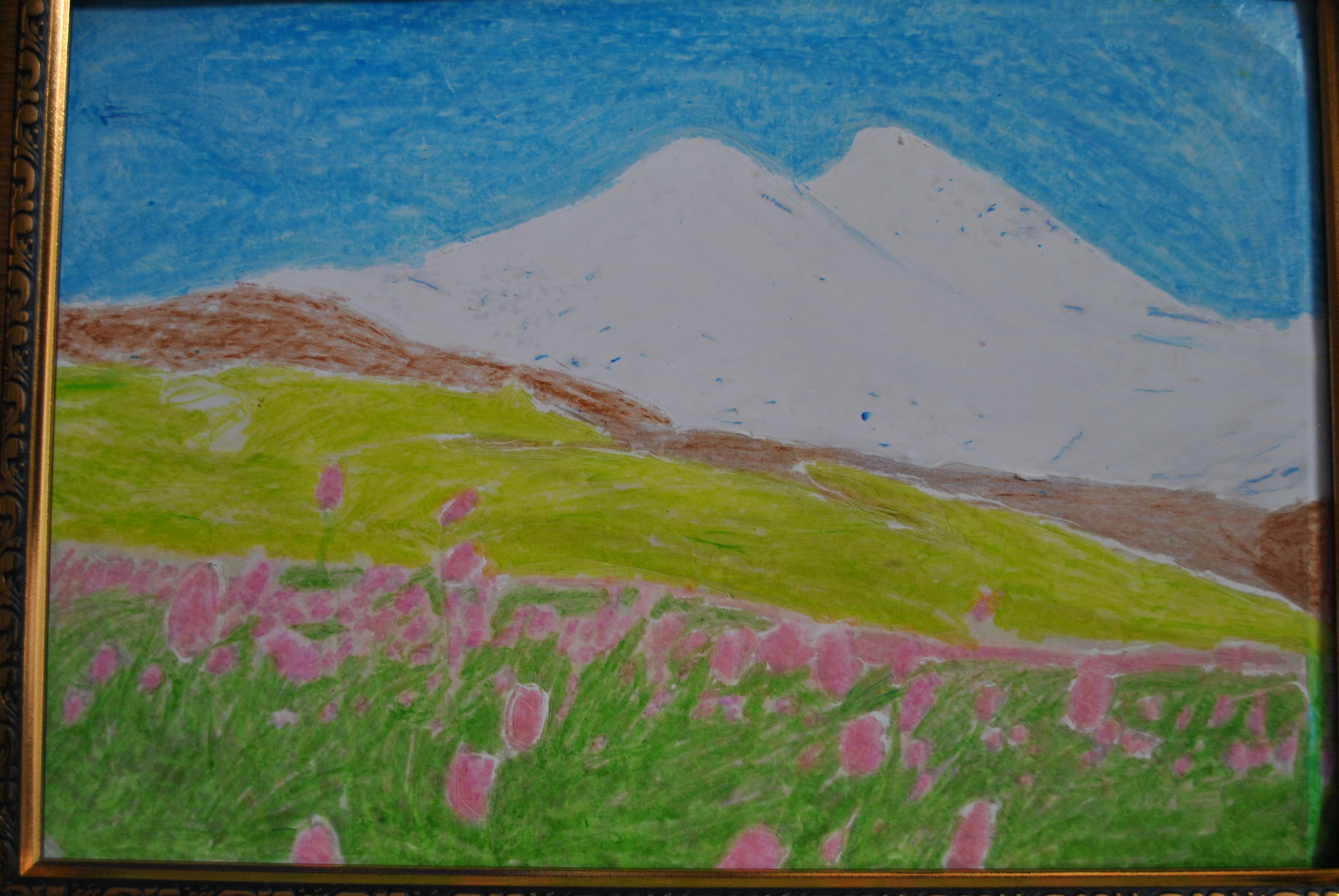 DSC_0916.JPG