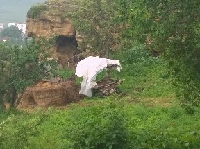 WP_20160710_028.jpg