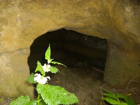 09djash090909