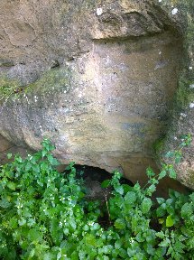 WP_20160710_018.jpg