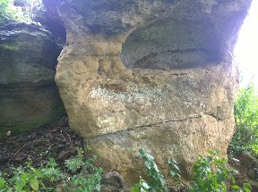WP_20160710_027.jpg