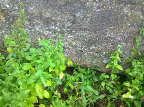 WP_20160710_023.jpg
