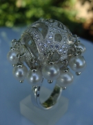 salp4.JPG